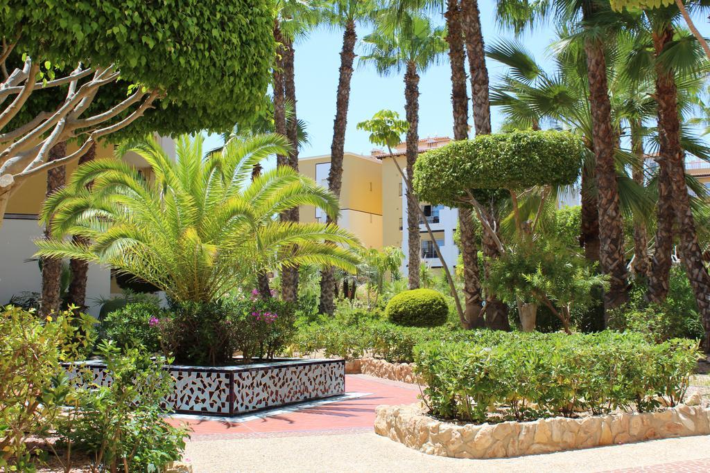 Aldea Del Mar Apartment Torrevieja Ngoại thất bức ảnh